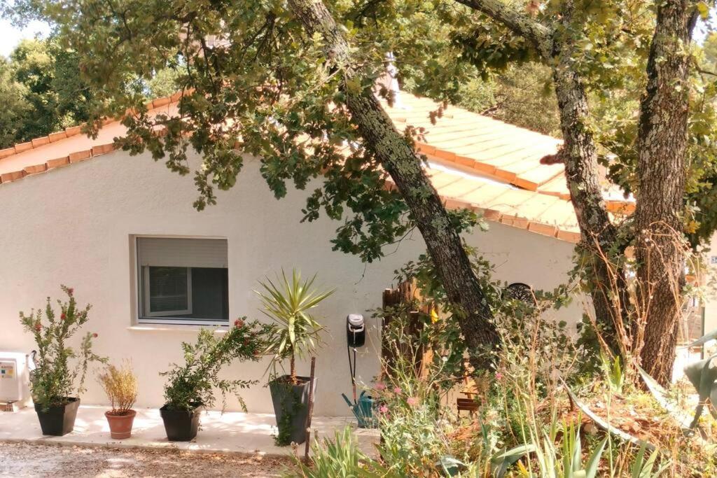 La Madoca Appartement Flayosc Buitenkant foto